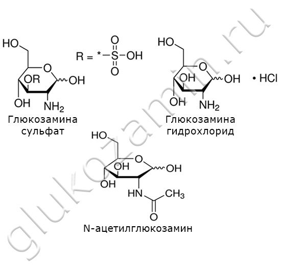 Химические формулы различных форм глюкозамина
